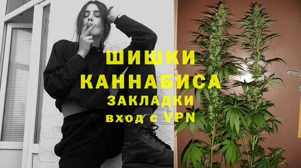 первитин Гусев