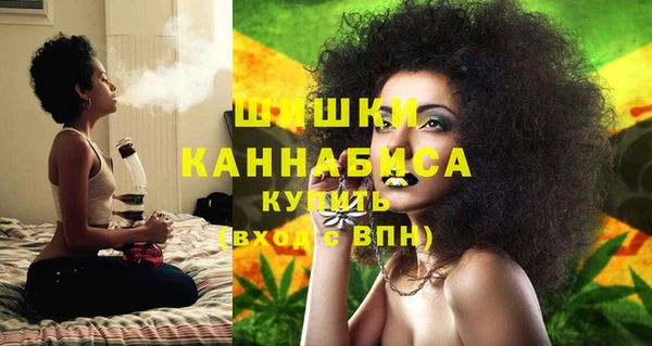 первитин Гусев