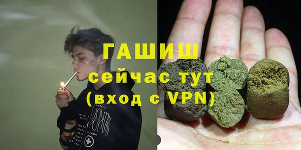 первитин Гусев
